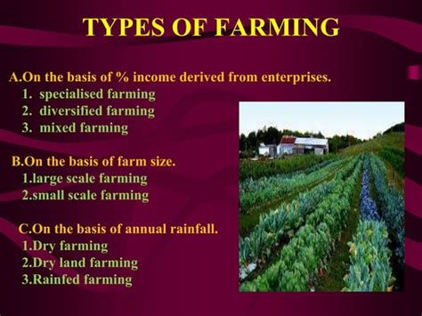 Farm system shows promise